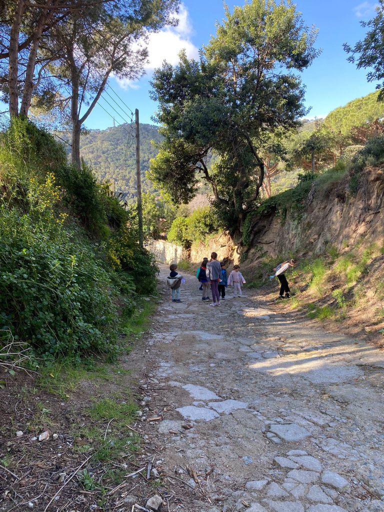 niños caminando en el bosque